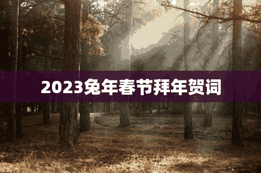 2023兔年春节拜年贺词(2023兔年春节拜年贺词四句)